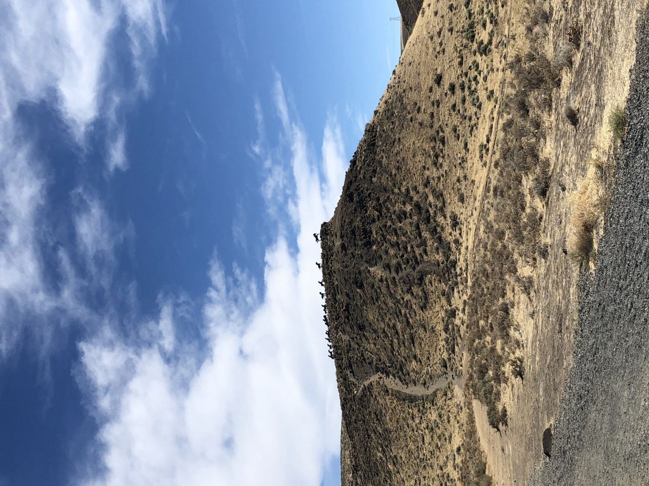 Wild horse monument 3