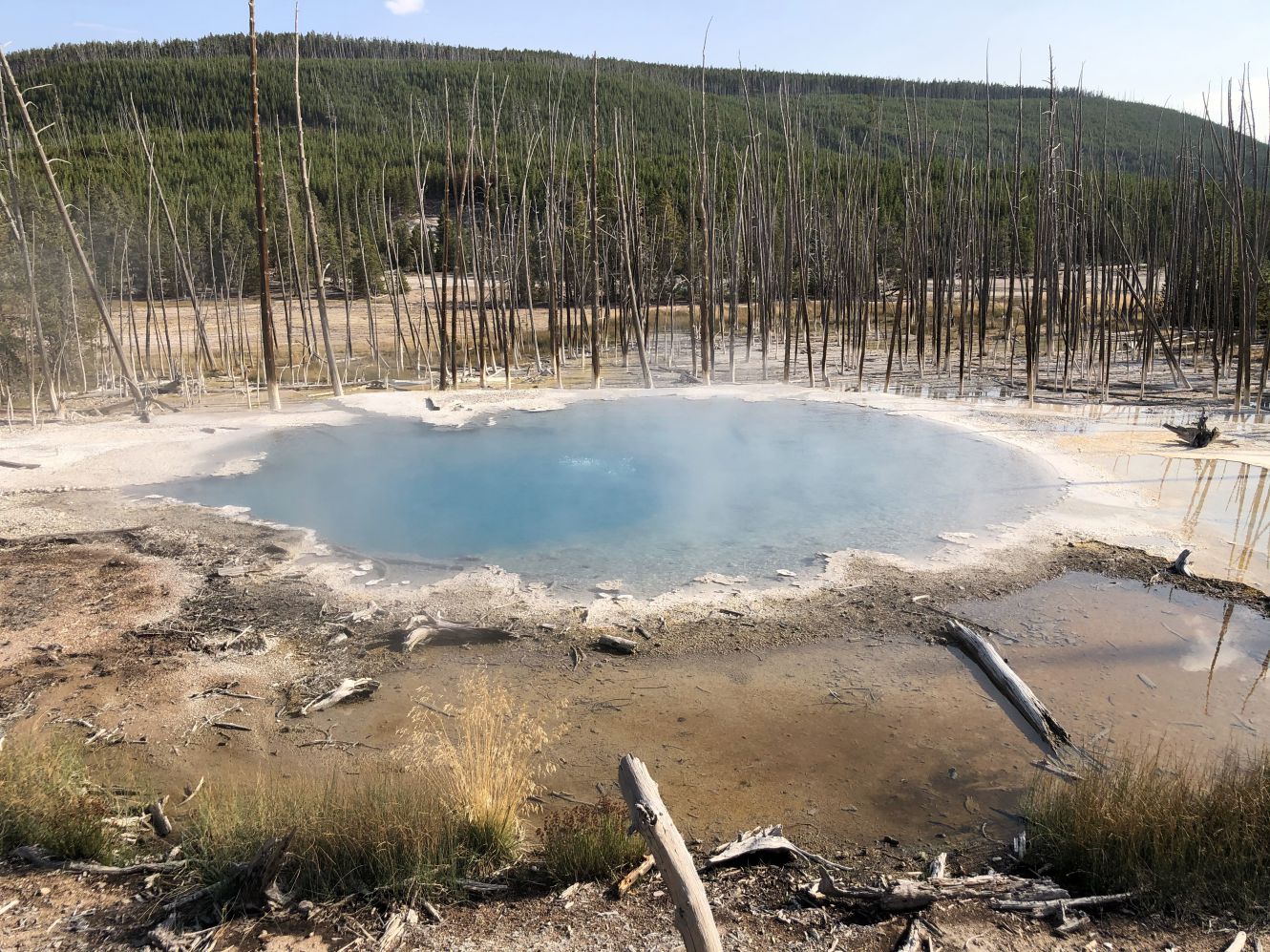 Norris geyser basin 1