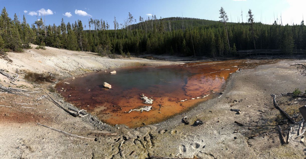 Norris geyser basin 2