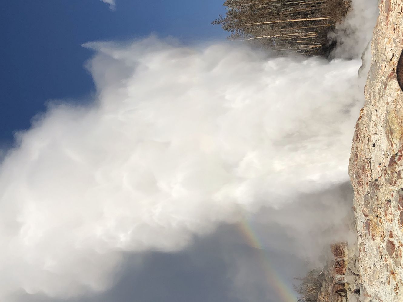 Norris geyser basin 3