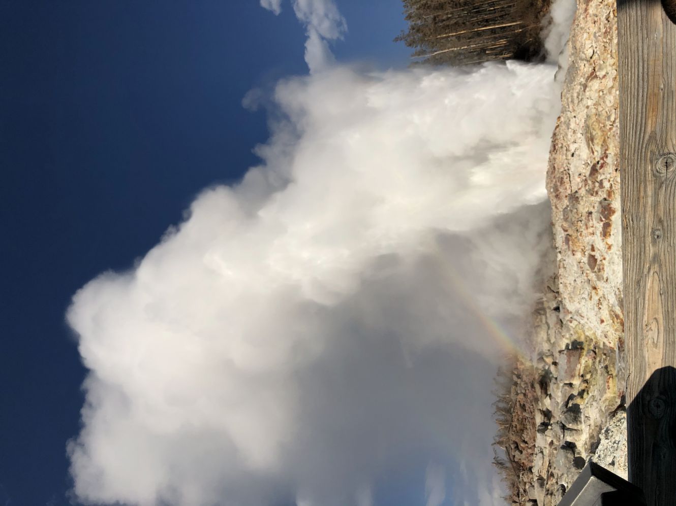 Norris geyser basin 4