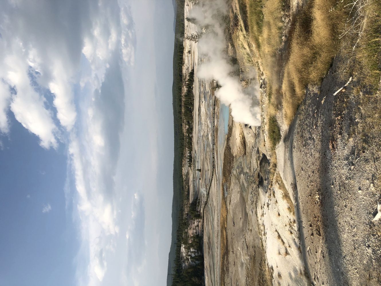 Norris geyser basin 7
